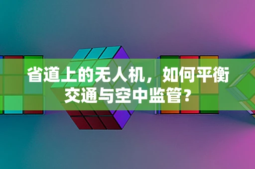 省道上的无人机，如何平衡交通与空中监管？