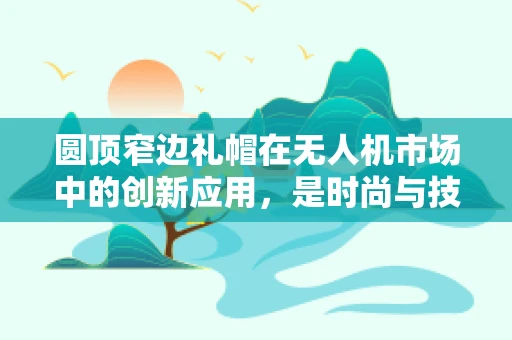 圆顶窄边礼帽在无人机市场中的创新应用，是时尚与技术的完美碰撞吗？