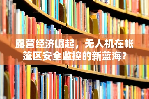 露营经济崛起，无人机在帐篷区安全监控的新蓝海？