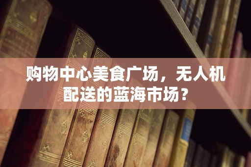 购物中心美食广场，无人机配送的蓝海市场？