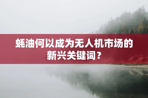 蚝油何以成为无人机市场的新兴关键词？