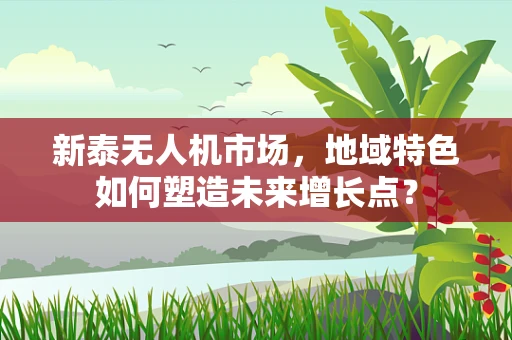 新泰无人机市场，地域特色如何塑造未来增长点？