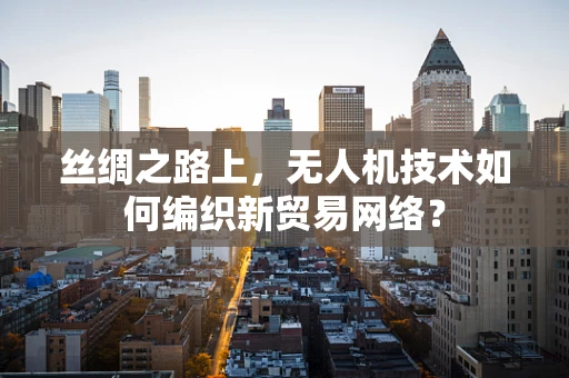 丝绸之路上，无人机技术如何编织新贸易网络？