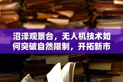 沼泽观景台，无人机技术如何突破自然限制，开拓新市场？