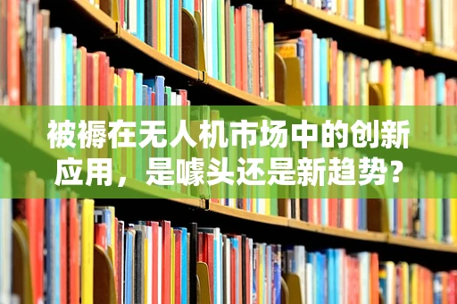 被褥在无人机市场中的创新应用，是噱头还是新趋势？