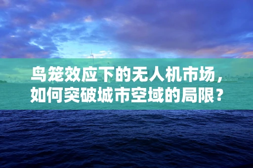 鸟笼效应下的无人机市场，如何突破城市空域的局限？