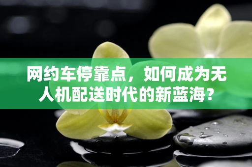 网约车停靠点，如何成为无人机配送时代的新蓝海？