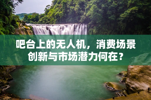 吧台上的无人机，消费场景创新与市场潜力何在？