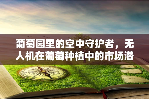 葡萄园里的空中守护者，无人机在葡萄种植中的市场潜力与挑战