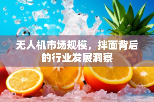 无人机市场规模，拌面背后的行业发展洞察