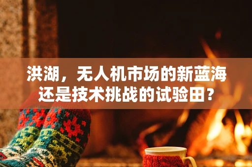 洪湖，无人机市场的新蓝海还是技术挑战的试验田？