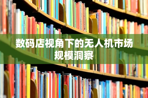 数码店视角下的无人机市场规模洞察