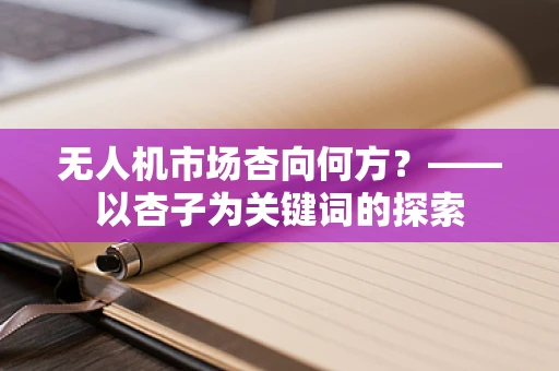 无人机市场杏向何方？——以杏子为关键词的探索