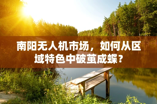 南阳无人机市场，如何从区域特色中破茧成蝶？