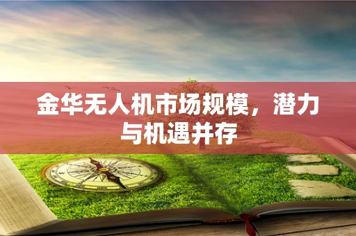 金华无人机市场规模，潜力与机遇并存