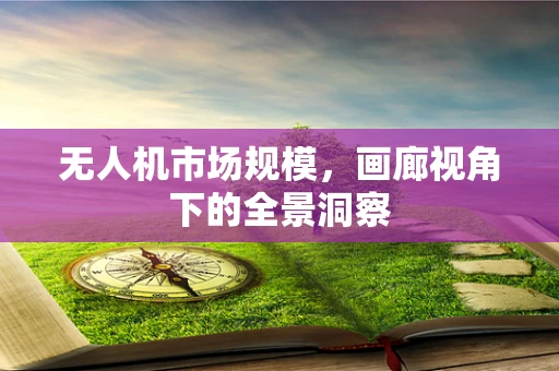 无人机市场规模，画廊视角下的全景洞察