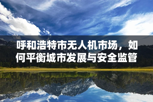 呼和浩特市无人机市场，如何平衡城市发展与安全监管？