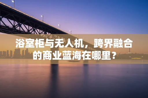 浴室柜与无人机，跨界融合的商业蓝海在哪里？