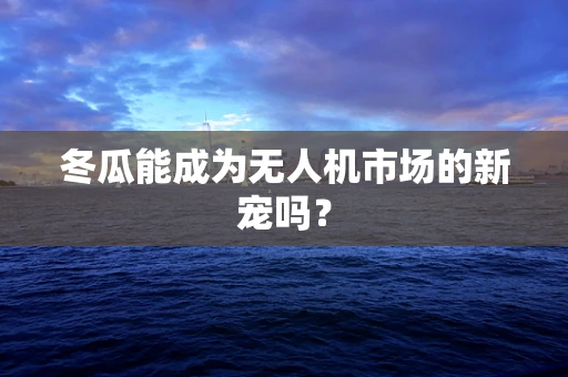 冬瓜能成为无人机市场的新宠吗？